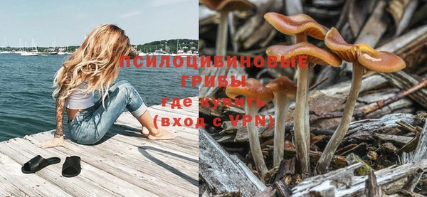 spice Алексеевка