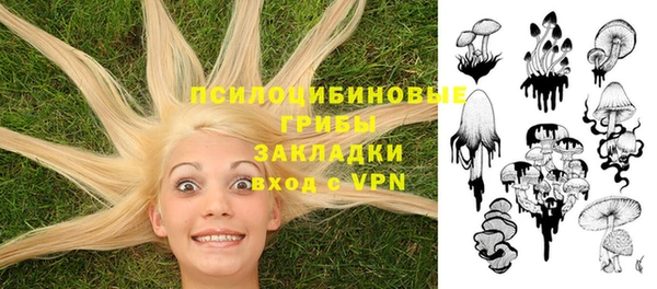 герыч Алзамай