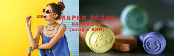 ГАЛЛЮЦИНОГЕННЫЕ ГРИБЫ Алексин