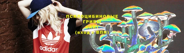 ГАЛЛЮЦИНОГЕННЫЕ ГРИБЫ Алексин