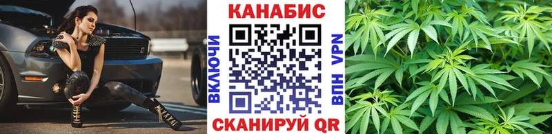 Бошки марихуана конопля  blacksprut сайт  Сураж 